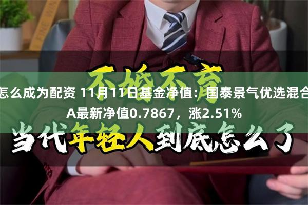 怎么成为配资 11月11日基金净值：国泰景气优选混合A最新净值0.7867，涨2.51%