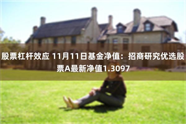 股票杠杆效应 11月11日基金净值：招商研究优选股票A最新净值1.3097
