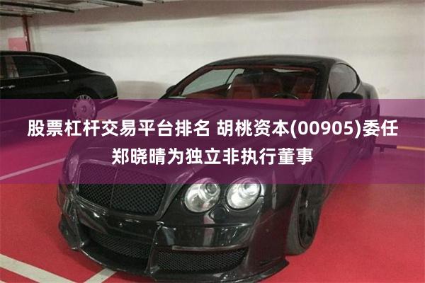 股票杠杆交易平台排名 胡桃资本(00905)委任郑晓晴为独立非执行董事
