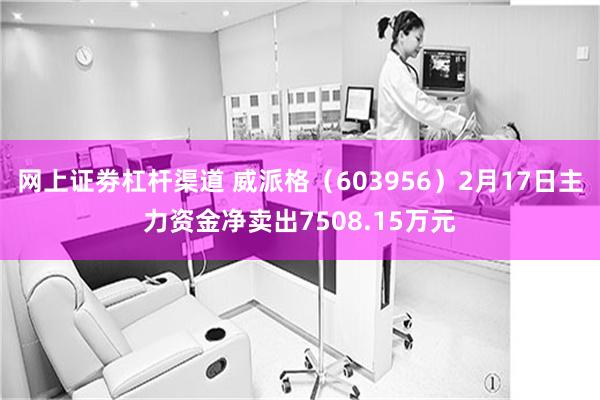 网上证劵杠杆渠道 威派格（603956）2月17日主力资金净卖出7508.15万元