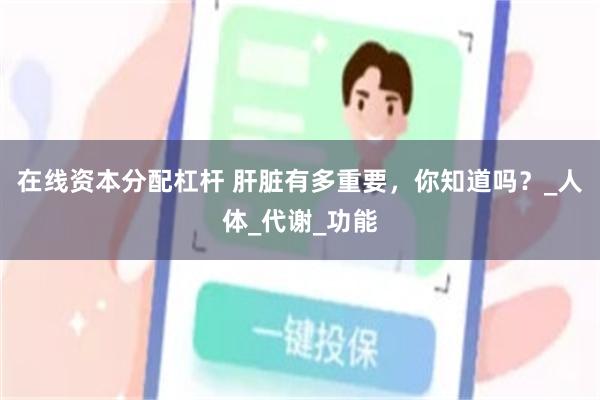 在线资本分配杠杆 肝脏有多重要，你知道吗？_人体_代谢_功能
