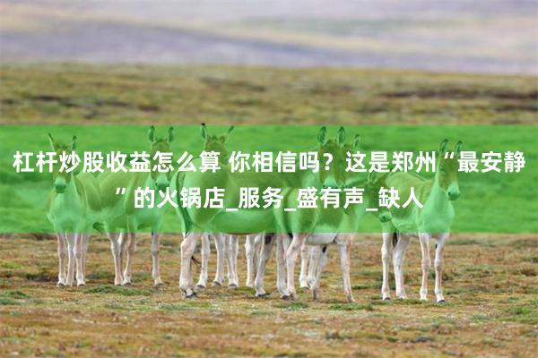 杠杆炒股收益怎么算 你相信吗?这是郑州“最安静”的火锅店_服务_盛有声_缺人