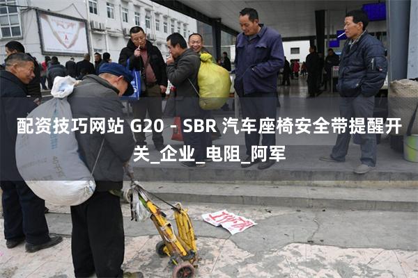 配资技巧网站 G20 - SBR 汽车座椅安全带提醒开关_企业_电阻_阿军