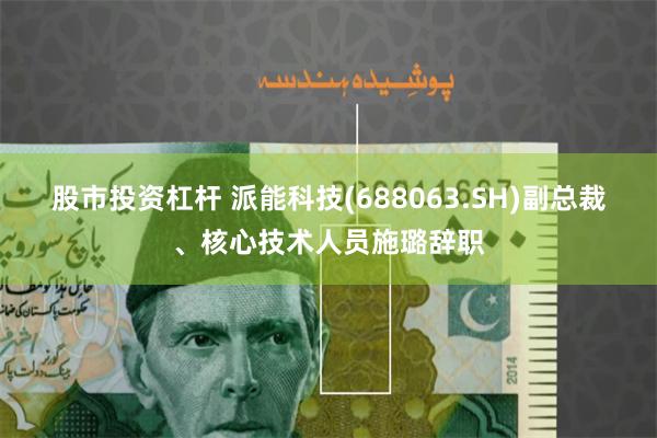 股市投资杠杆 派能科技(688063.SH)副总裁、核心技术人员施璐辞职