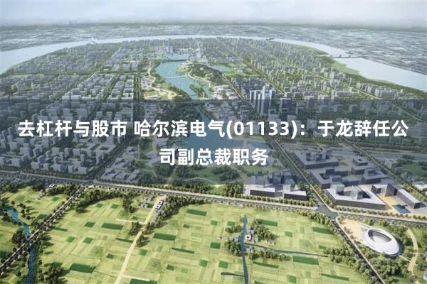 去杠杆与股市 哈尔滨电气(01133)：于龙辞任公司副总裁职务