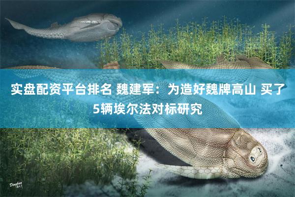 实盘配资平台排名 魏建军：为造好魏牌高山 买了5辆埃尔法对标研究