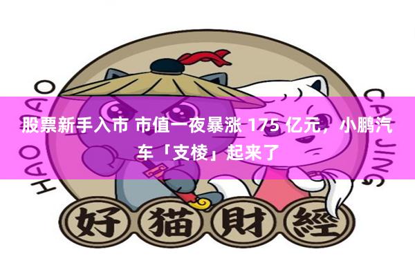 股票新手入市 市值一夜暴涨 175 亿元，小鹏汽车「支棱」起来了