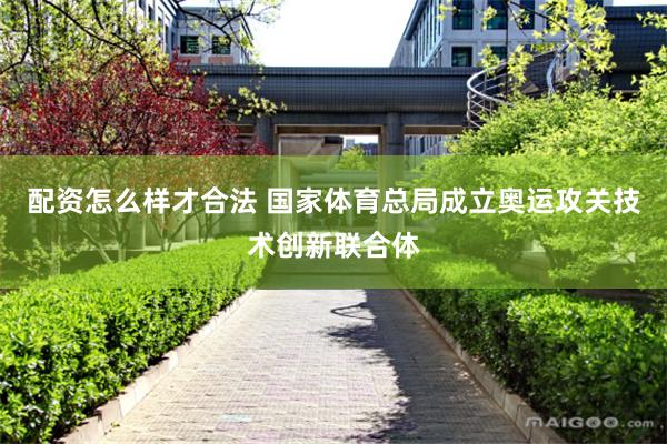 配资怎么样才合法 国家体育总局成立奥运攻关技术创新联合体